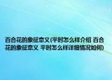 百合花的象征意義(平時(shí)怎么樣介紹 百合花的象征意義 平時(shí)怎么樣詳細(xì)情況如何)