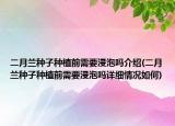 二月蘭種子種植前需要浸泡嗎介紹(二月蘭種子種植前需要浸泡嗎詳細情況如何)