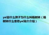 ysl是什么牌子為什么叫楊樹林（楊樹林什么意思ysl簡介介紹）