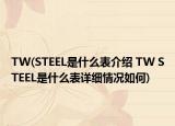 TW(STEEL是什么表介紹 TW STEEL是什么表詳細情況如何)