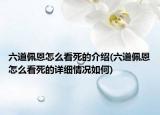 六道佩恩怎么看死的介紹(六道佩恩怎么看死的詳細(xì)情況如何)
