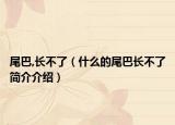 尾巴,長不了（什么的尾巴長不了簡介介紹）