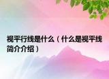 視平行線是什么（什么是視平線簡介介紹）