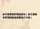 關于青春和夢想的美句（關于青春與夢想的唯美語錄簡介介紹）