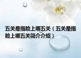 五關是指臉上哪五關（五關是指臉上哪五關簡介介紹）