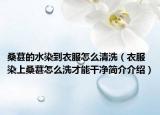 桑葚的水染到衣服怎么清洗（衣服染上桑葚怎么洗才能干凈簡介介紹）