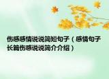 傷感感情說說簡短句子（感情句子長篇傷感說說簡介介紹）