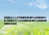 沈陽有幾個人才市場都在哪(都什么時候招聘介紹 沈陽有幾個人才市場都在哪 都什么時候招聘詳細情況如何)