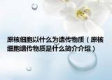 原核細胞以什么為遺傳物質（原核細胞遺傳物質是什么簡介介紹）