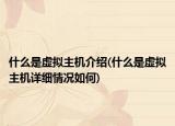 什么是虛擬主機(jī)介紹(什么是虛擬主機(jī)詳細(xì)情況如何)