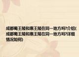 成都蜀王陵和惠王陵在同一地方嗎?介紹(成都蜀王陵和惠王陵在同一地方嗎?詳細情況如何)