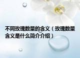 不同玫瑰數(shù)量的含義（玫瑰數(shù)量含義是什么簡(jiǎn)介介紹）