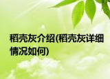 稻殼灰介紹(稻殼灰詳細情況如何)