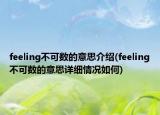 feeling不可數(shù)的意思介紹(feeling不可數(shù)的意思詳細情況如何)