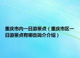重慶市內(nèi)一日游景點（重慶市區(qū)一日游景點有哪些簡介介紹）