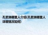 孔繁漪哪里人介紹(孔繁漪哪里人詳細情況如何)