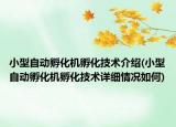 小型自動孵化機孵化技術(shù)介紹(小型自動孵化機孵化技術(shù)詳細情況如何)