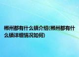 郴州都有什么鎮(zhèn)介紹(郴州都有什么鎮(zhèn)詳細(xì)情況如何)