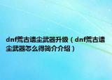 dnf荒古遺塵武器升級（dnf荒古遺塵武器怎么得簡介介紹）