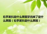 右手發(fā)抖是什么原因牙齒掉了是什么原因（右手發(fā)抖是什么原因）