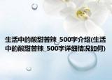 生活中的酸甜苦辣_500字介紹(生活中的酸甜苦辣_500字詳細情況如何)