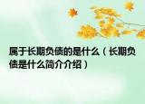 屬于長(zhǎng)期負(fù)債的是什么（長(zhǎng)期負(fù)債是什么簡(jiǎn)介介紹）