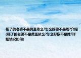 楊子的老婆不是黃圣依么?怎么好像不是她?介紹(楊子的老婆不是黃圣依么?怎么好像不是她?詳細(xì)情況如何)