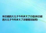 林志穎的大兒子今年多大了介紹(林志穎的大兒子今年多大了詳細(xì)情況如何)