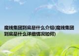 魔線集團(tuán)到底是什么介紹(魔線集團(tuán)到底是什么詳細(xì)情況如何)