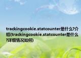 trackingcookie.statcounter是什么?介紹(trackingcookie.statcounter是什么?詳細(xì)情況如何)