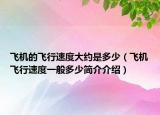 飛機(jī)的飛行速度大約是多少（飛機(jī)飛行速度一般多少簡(jiǎn)介介紹）