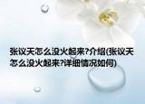 張議天怎么沒火起來?介紹(張議天怎么沒火起來?詳細(xì)情況如何)