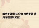 隋唐英雄(演員介紹 隋唐英雄 演員詳細情況如何)