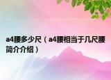 a4腰多少尺（a4腰相當(dāng)于幾尺腰簡(jiǎn)介介紹）