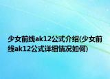 少女前線ak12公式介紹(少女前線ak12公式詳細(xì)情況如何)