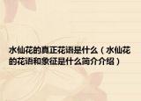 水仙花的真正花語(yǔ)是什么（水仙花的花語(yǔ)和象征是什么簡(jiǎn)介介紹）