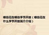 哪些花在哪些季節(jié)開放（哪些花在什么季節(jié)開放簡介介紹）
