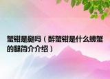蟹鉗是腿嗎（醉蟹鉗是什么螃蟹的腿簡(jiǎn)介介紹）