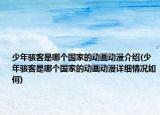 少年駭客是哪個國家的動畫動漫介紹(少年駭客是哪個國家的動畫動漫詳細情況如何)