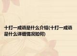 十打一成語(yǔ)是什么介紹(十打一成語(yǔ)是什么詳細(xì)情況如何)