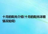 十月的陽光介紹(十月的陽光詳細情況如何)
