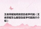 王者榮耀如何改空白名字代碼（王者榮耀怎么起空白名字代碼簡介介紹）