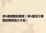 浙h是哪里的牌照（浙h是浙江哪里的牌照簡介介紹）