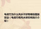 龜背竹為什么風(fēng)水不好有哪些擺放禁忌（龜背竹有風(fēng)水講究嗎簡介介紹）