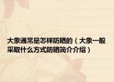 大象通常是怎樣防曬的（大象一般采取什么方式防曬簡介介紹）