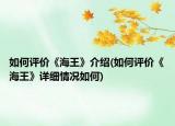 如何評價《海王》介紹(如何評價《海王》詳細情況如何)