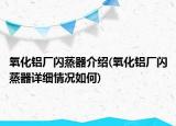 氧化鋁廠閃蒸器介紹(氧化鋁廠閃蒸器詳細情況如何)