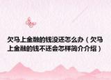 欠馬上金融的錢沒還怎么辦（欠馬上金融的錢不還會怎樣簡介介紹）