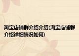 淘寶店鋪群介紹介紹(淘寶店鋪群介紹詳細情況如何)