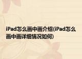 iPad怎么畫中畫介紹(iPad怎么畫中畫詳細(xì)情況如何)
